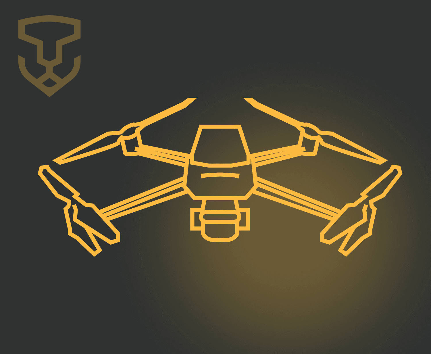 FPV-дрон, профінансований фондом